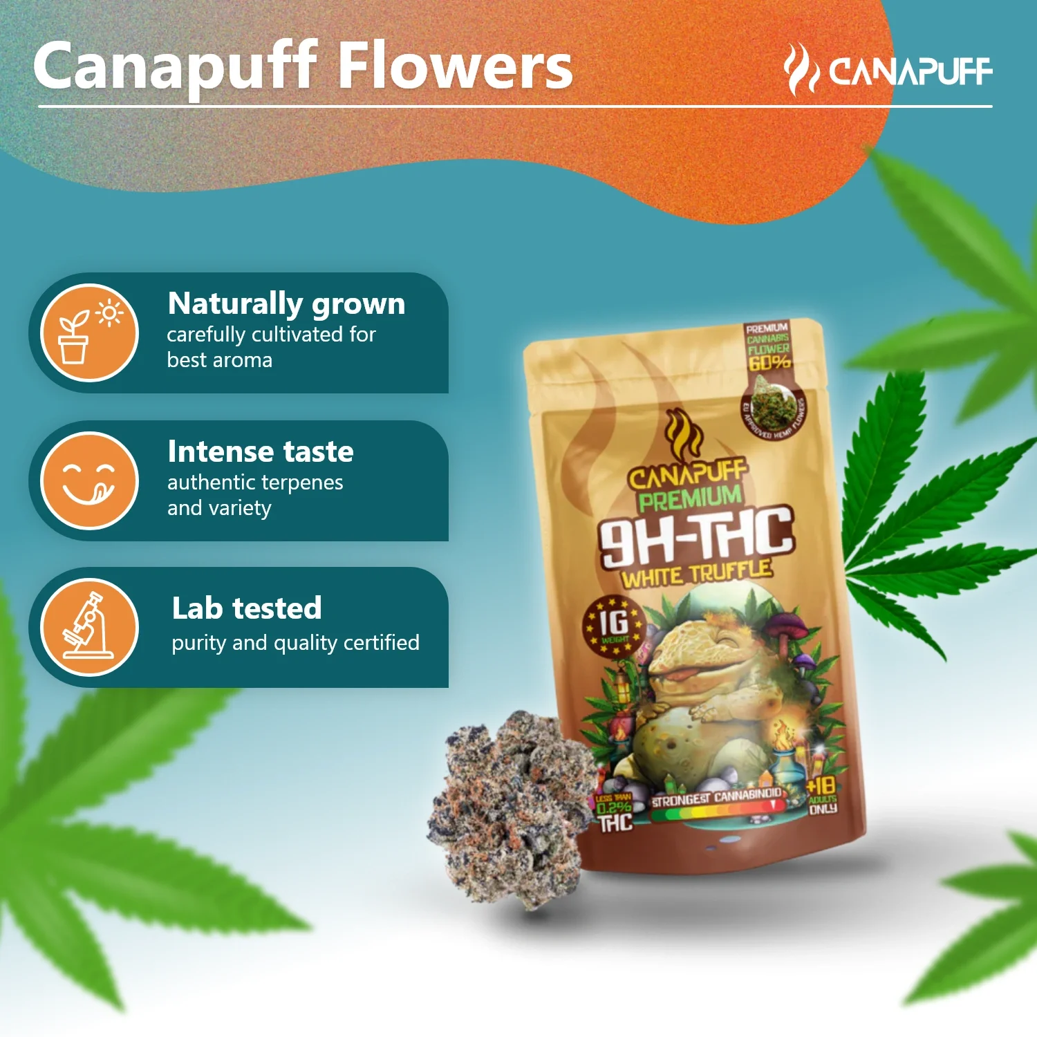 9H-THC Flowers White Truffle 99% - Image 2